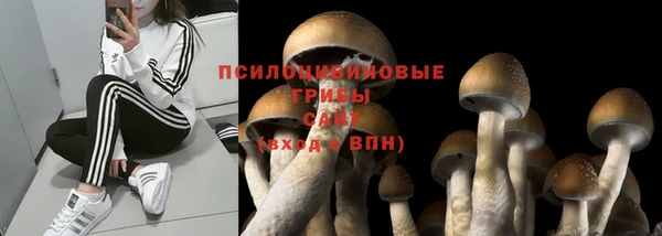 эйфоретик Мегион